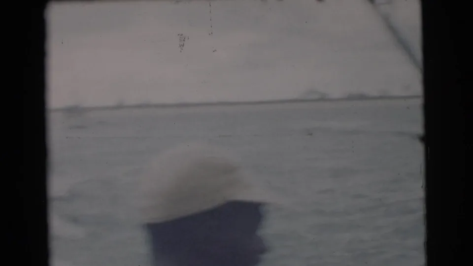 From the moving boat, the frame shows a bow edge, choppy water, and a low Miami shoreline under a gray sky.
