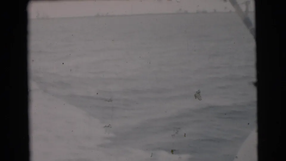Soft 8mm frame of open sea and a hazy horizon, with no clear landmarks or vessels visible.