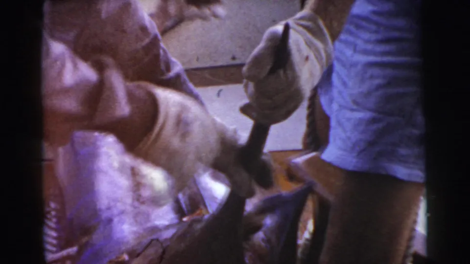 1956 Miami 8mm frame showing fishermen's hands and clothing as they work beside a large swordfish on the boat.