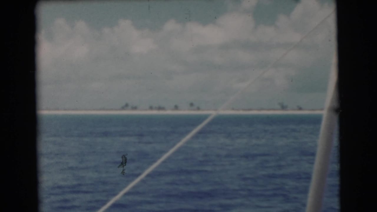 1956 8mm boat view toward a low sandy shoreline near Miami, with palms in the distance and a diagonal rope or cable visible.