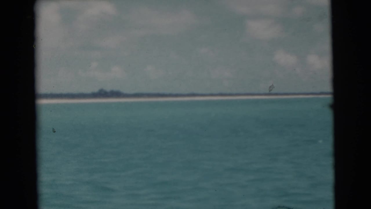 Open water and a distant sandy shoreline framed by dark vertical borders.