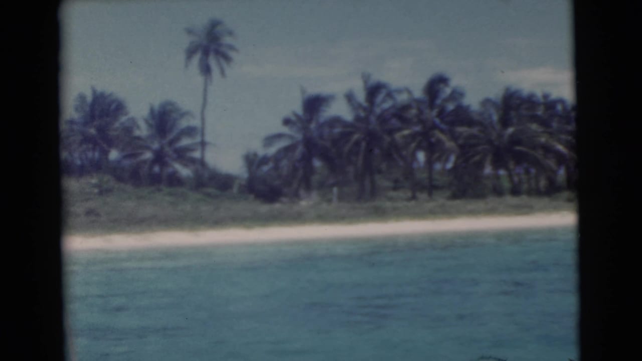 Palm-lined beach beyond blue water under a hazy sky.