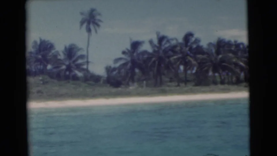 1956 Miami-area shoreline with turquoise water, pale sand, dense palms, and a tall palm rising above the beach.