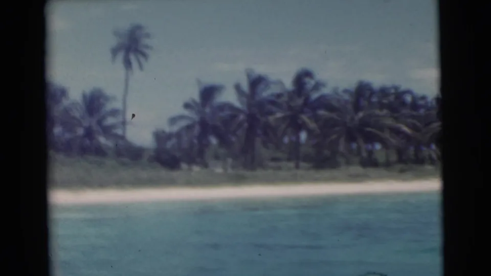 1956 Miami-area 8mm view of a palm-covered shoreline and pale beach seen from offshore across calm blue water.