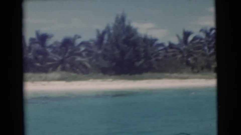 1956 Miami-area frame with turquoise water, a pale sand strip, and thick tropical vegetation along the shore.