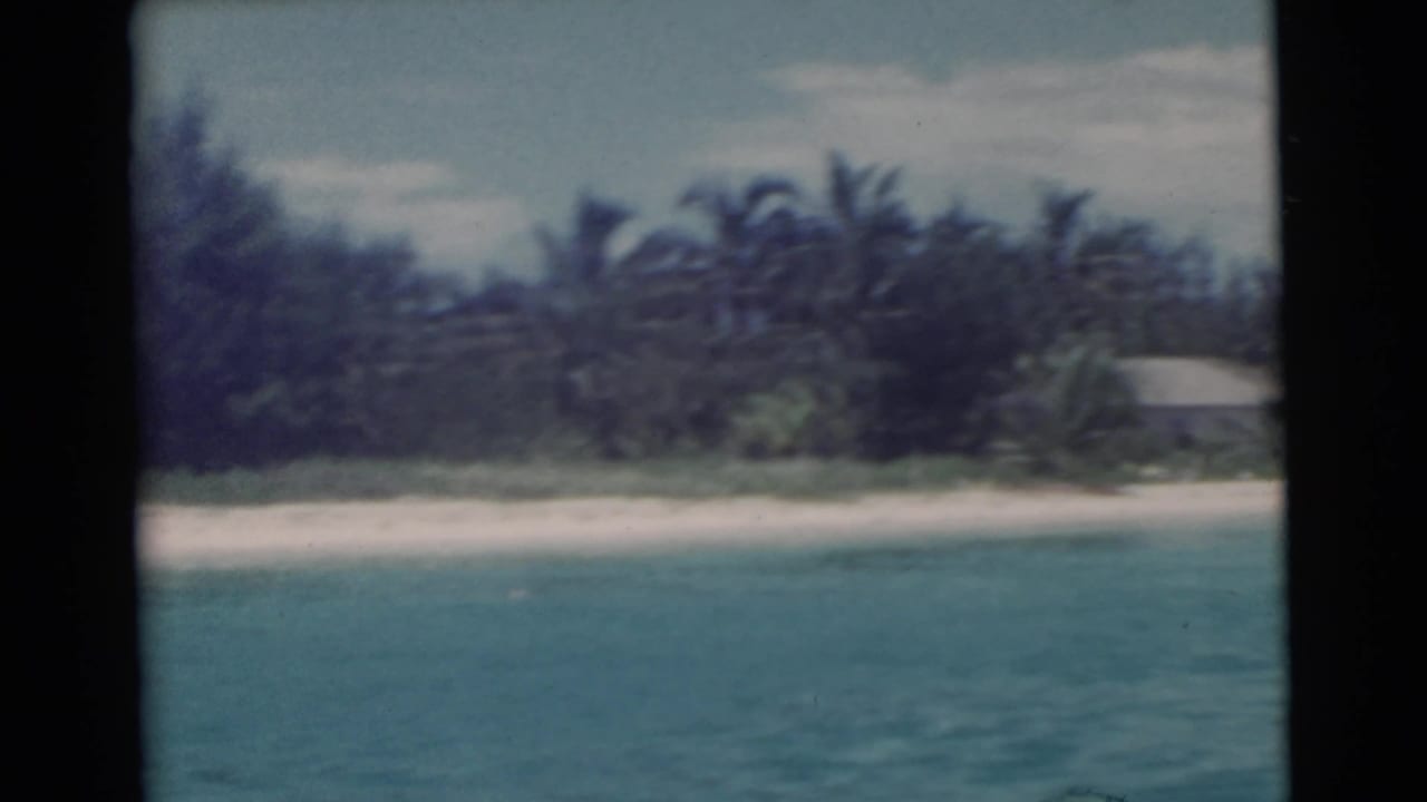 Boat view of turquoise water, sandy beach, palm trees, and a small shoreline building.