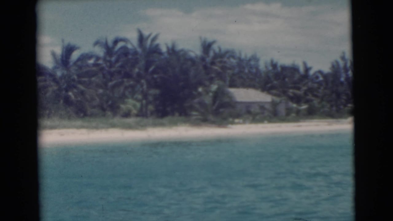 Palm-lined beach seen across blue water with a small pale-roofed building inland.