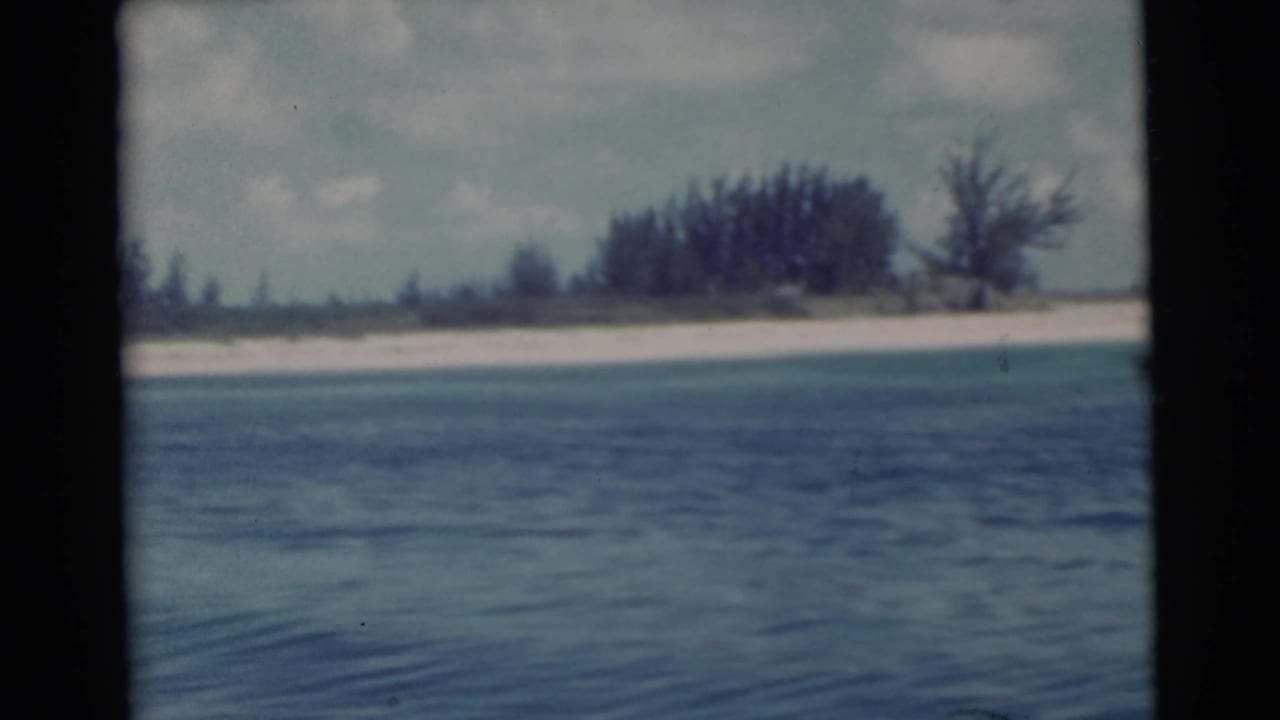 1956 Miami shoreline seen from a boat, with rippled blue water, pale sand, low vegetation, and a tree cluster under hazy sky.