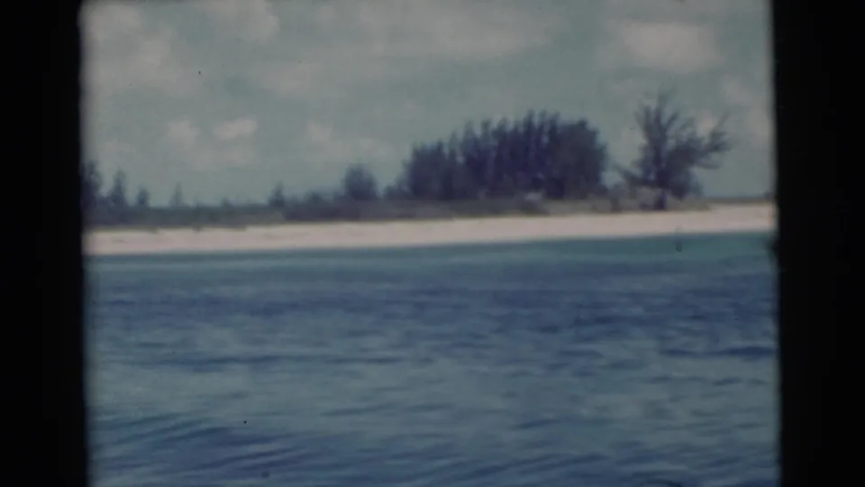 1956 Miami shoreline seen from a boat, with rippled blue water, pale sand, low vegetation, and a tree cluster under hazy sky.