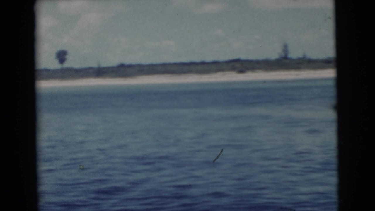 Blue water seen from a moving vessel with a sandy shoreline in the distance.