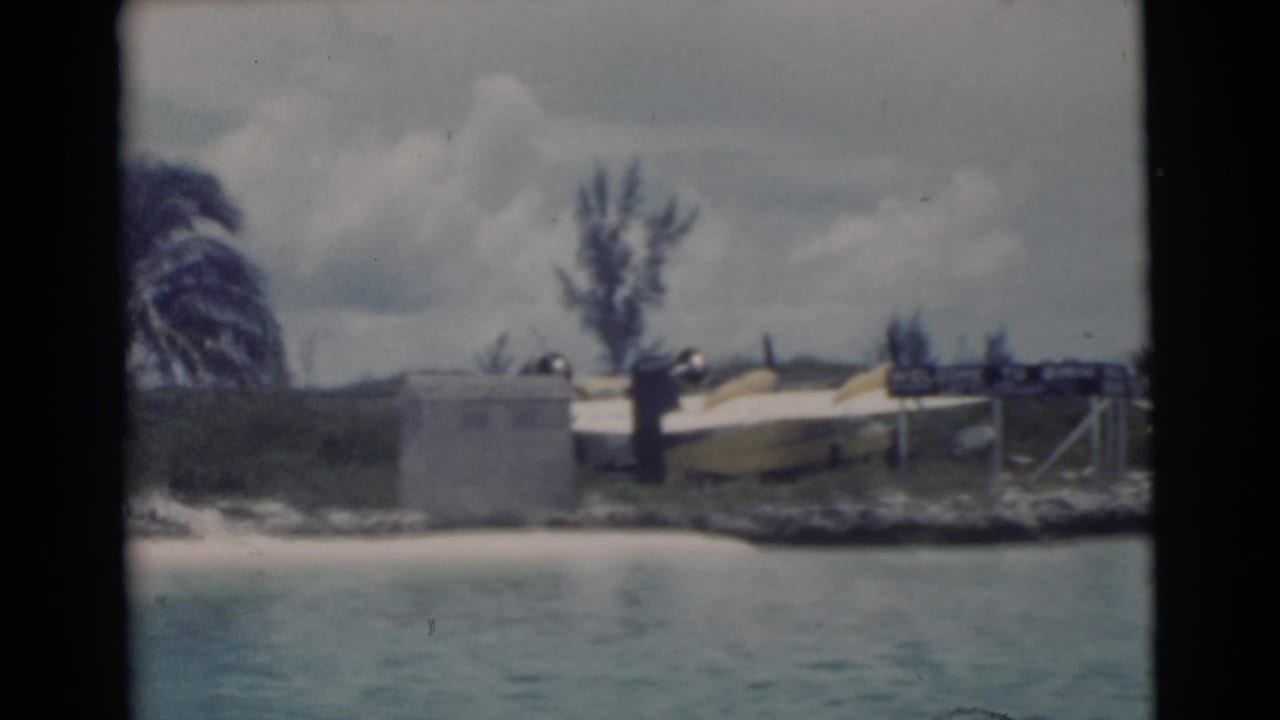 Waterfront shore with a yellow seaplane near palms under a cloudy sky.