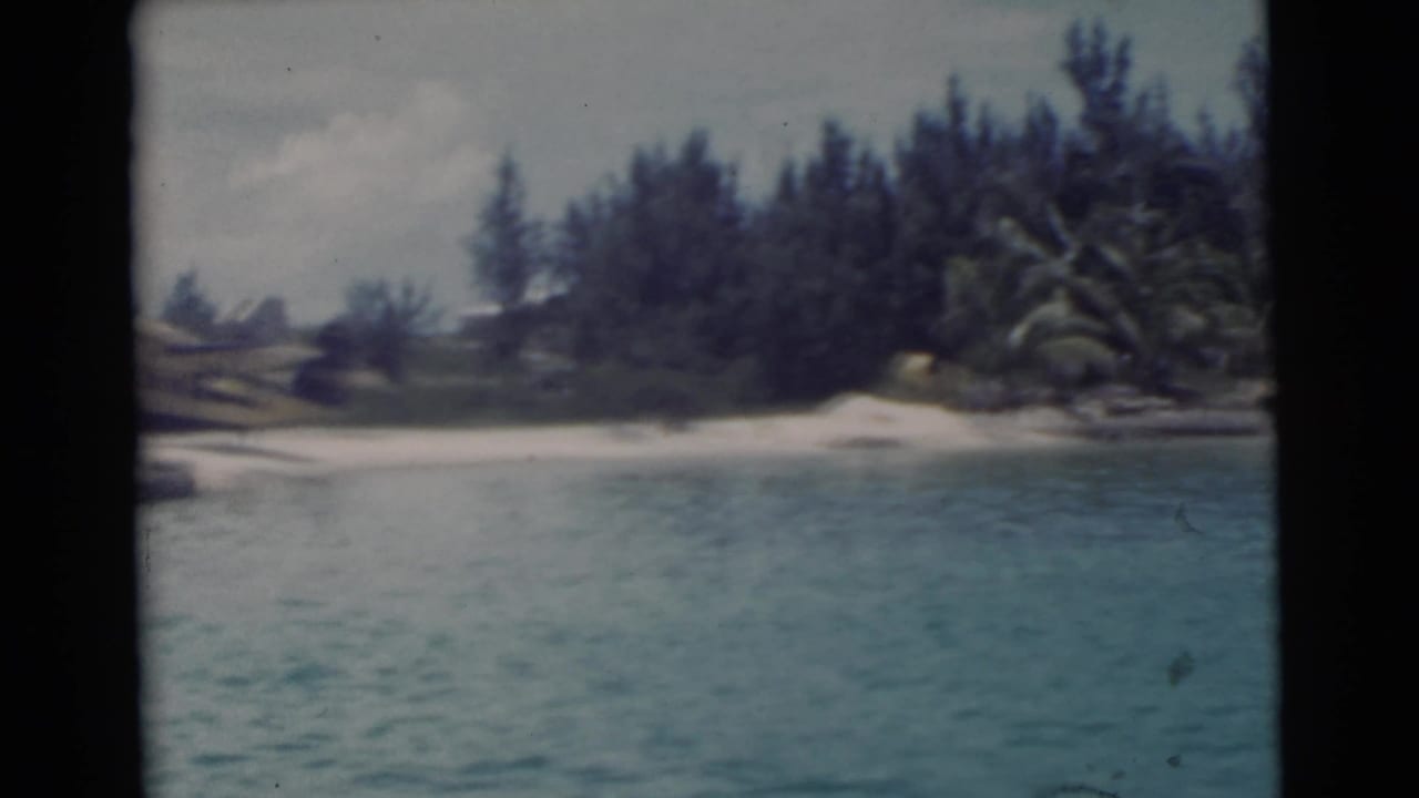 Tropical shoreline with blue-green water, sandy edge, dense trees, and dark film borders.
