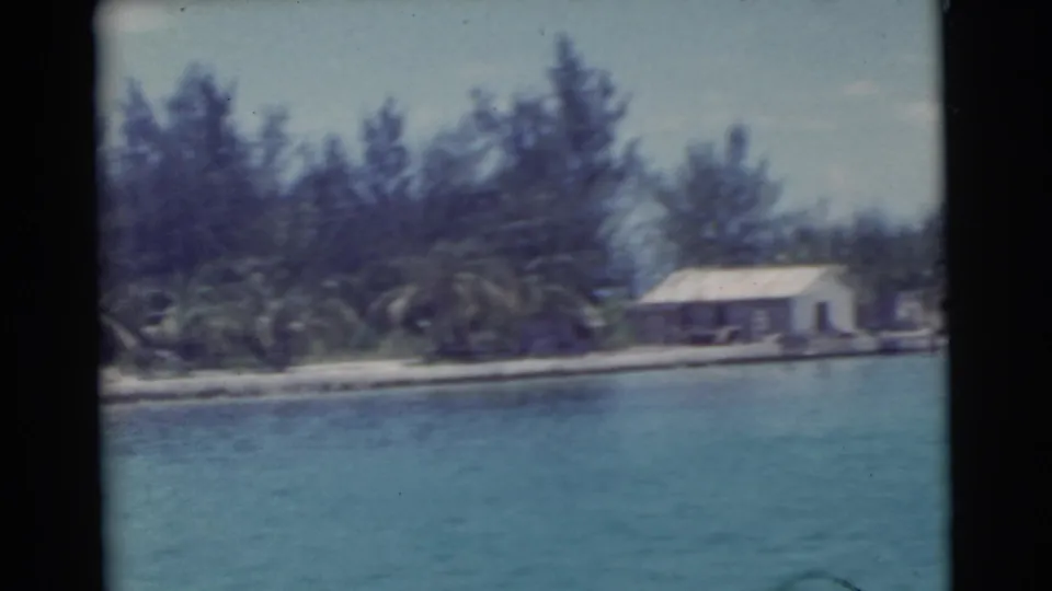 1956 Miami-area 8mm frame showing a small waterfront house, palms, dense trees, and water in the foreground.