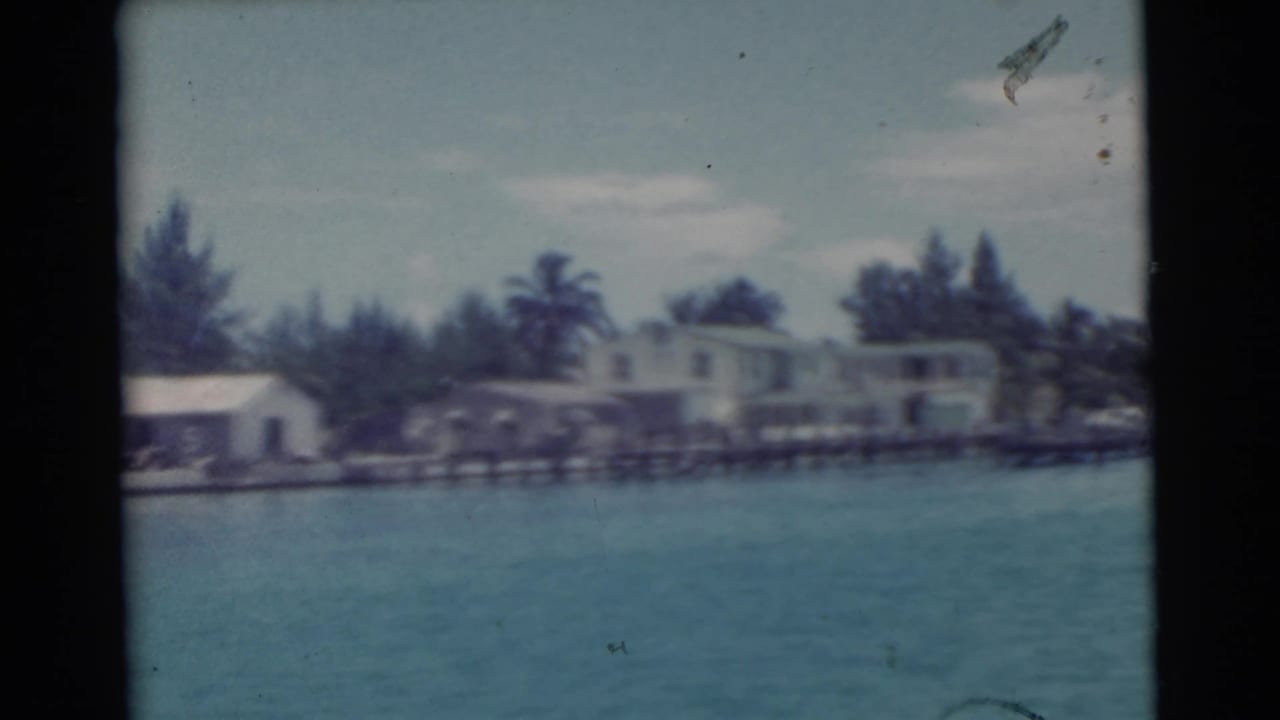 Shoreline houses and docks across turquoise water with palm trees behind them.