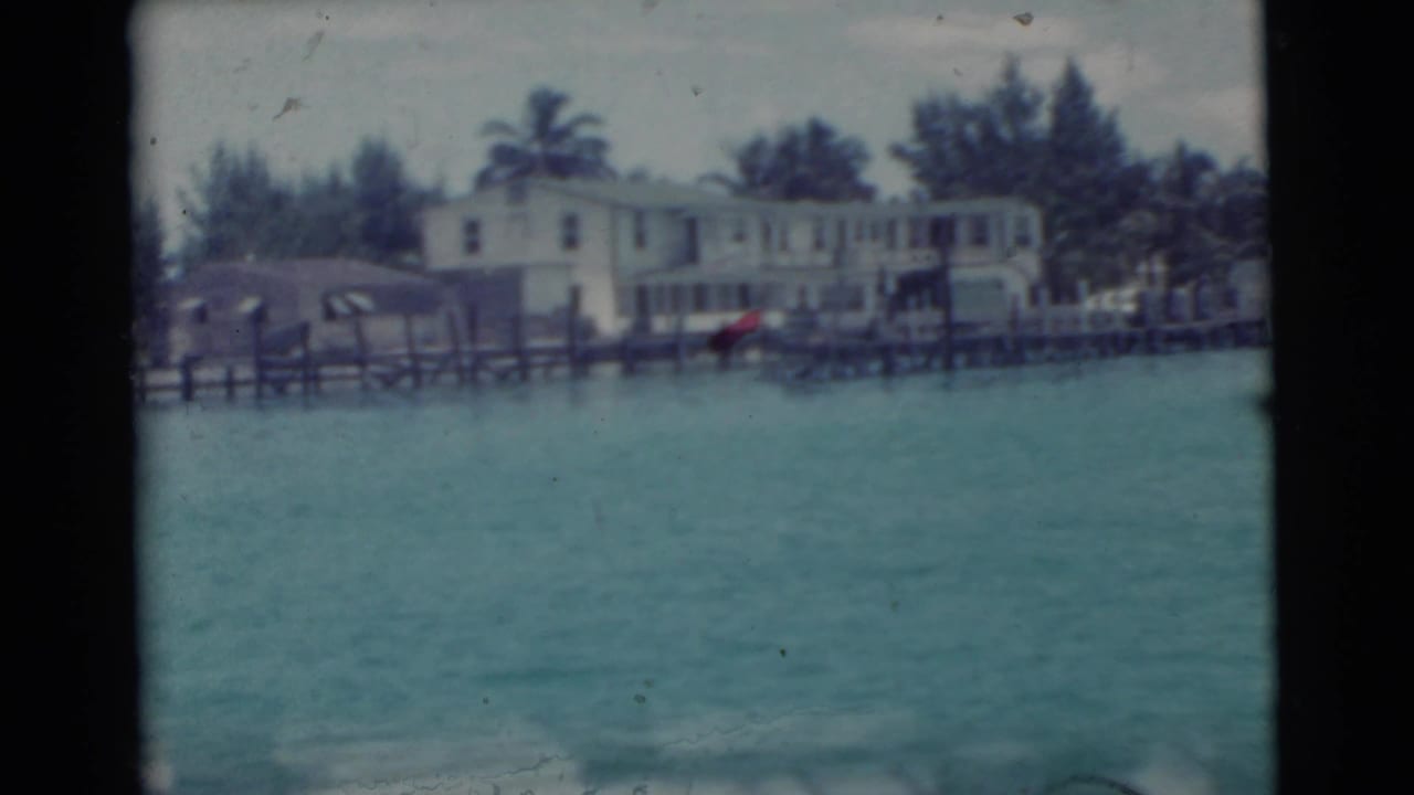 Waterfront houses, dock railings, palm trees, and a small red object near the shore.