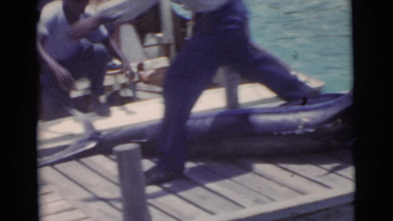A man steps on the dock near a large marlin while others sit or stand by the boat.