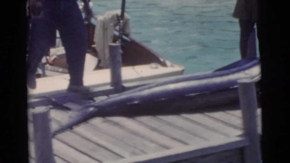 The large marlin is shown lengthwise across the dock, with men partly visible around it and Miami waterfront water behind.