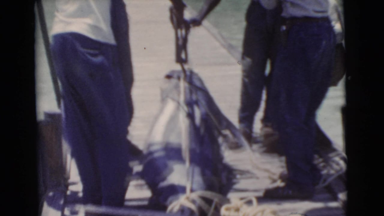 Men on a dock stand near a large fish lying across the boards.
