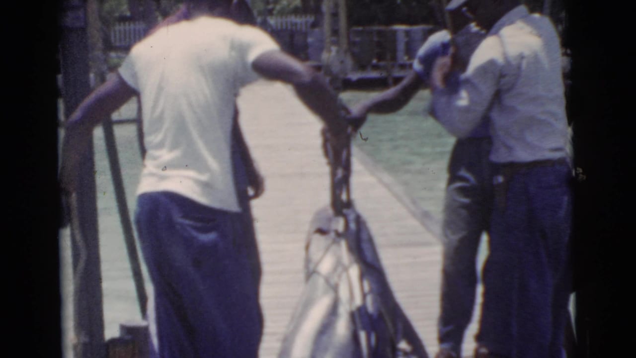 Several men work around a large fish hanging or being held on a dock.