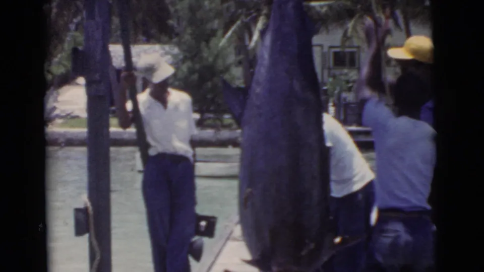 Wide 1956 Miami home-movie view of men near a hanging large fish, dock posts, water, trees, and a shoreline building.