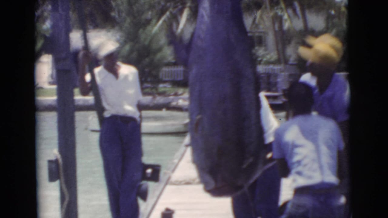 1956 Miami 8mm frame showing men in hats near a large marlin suspended at a waterfront dock.