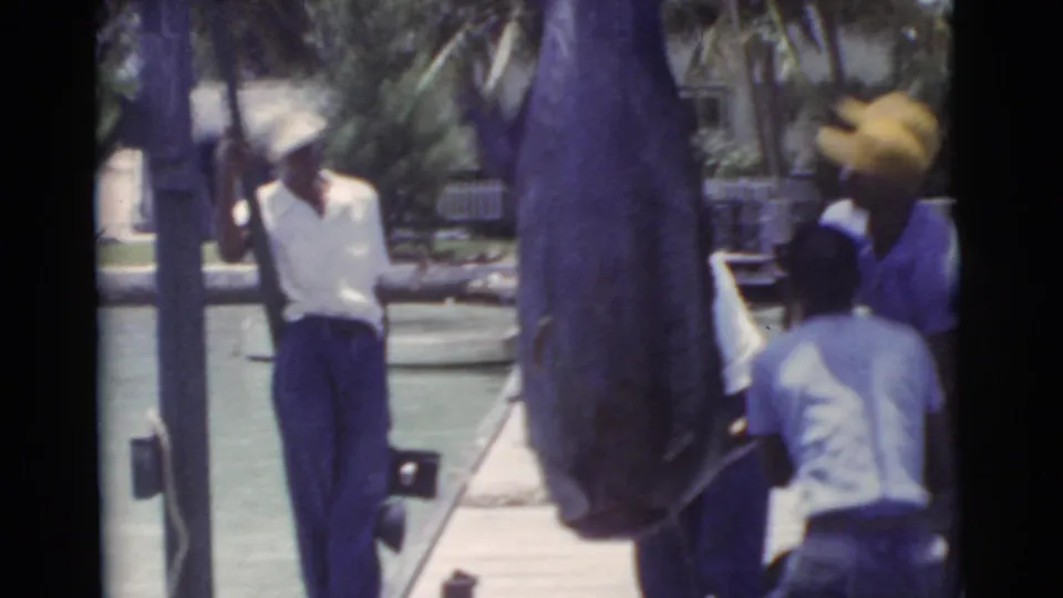1956 Miami 8mm frame showing men in hats near a large marlin suspended at a waterfront dock.