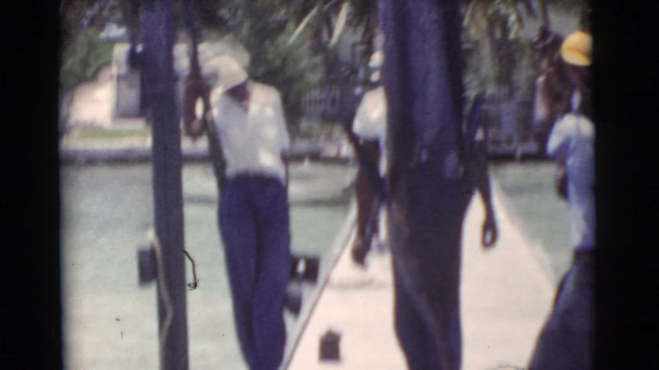 Men carry a large marlin along a dock beside calm water and palm trees.