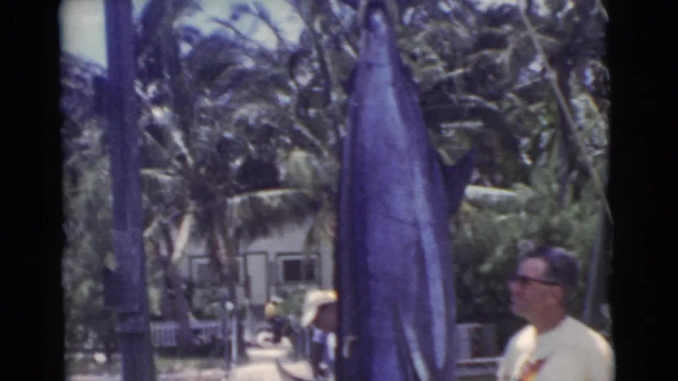 The large marlin dominates the 1956 Miami dockside frame as the man in sunglasses looks toward it, with palms and a house beyond.