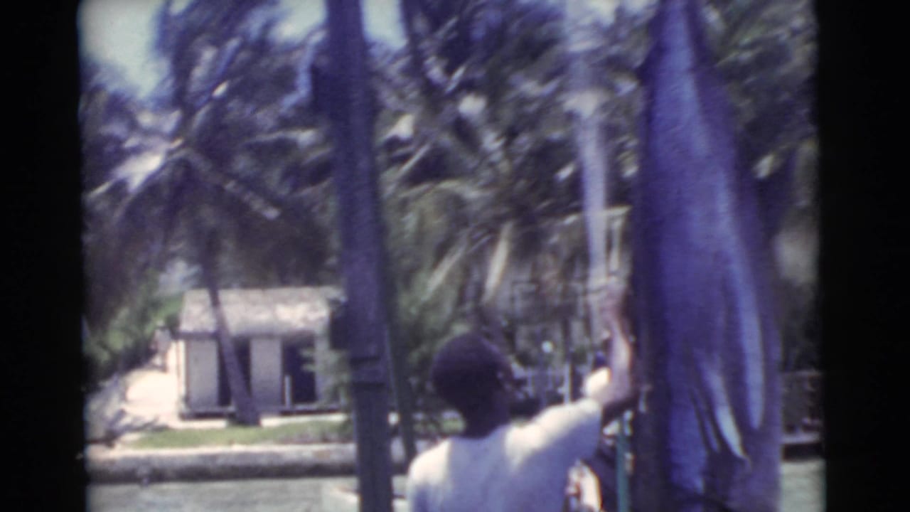 Person seen from behind near a large hanging fish beside water and palm trees.