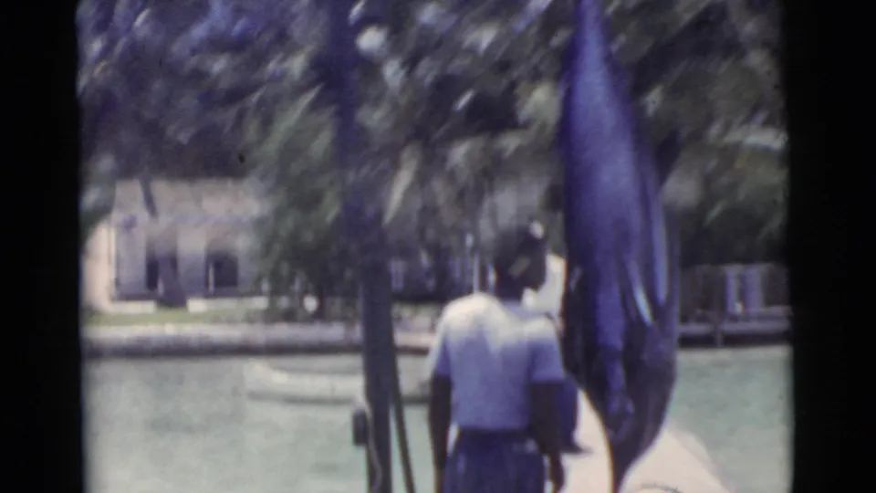 Soft 8mm frame from Miami in 1956 with a large blue-toned fish hanging beside a dock and a man nearby at the water's edge.