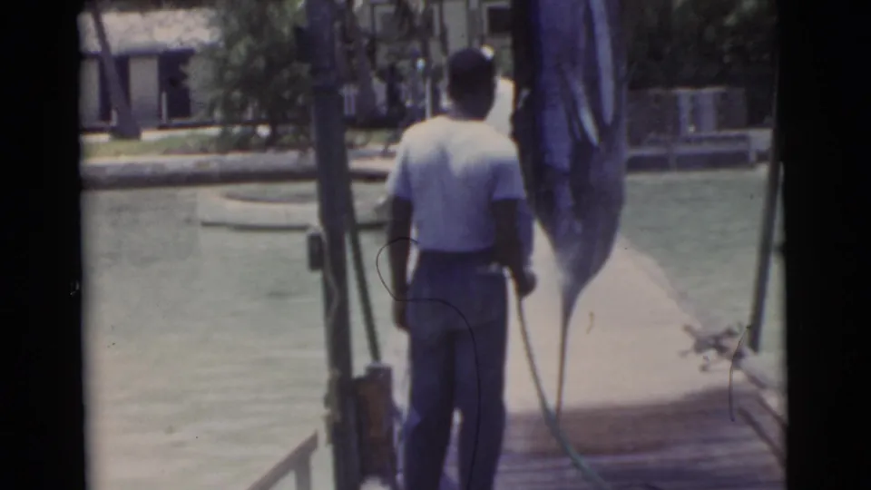 1956 Miami dockside frame showing a man from behind beside a large hanging fish, with hose line, water, and palm-lined background visible.