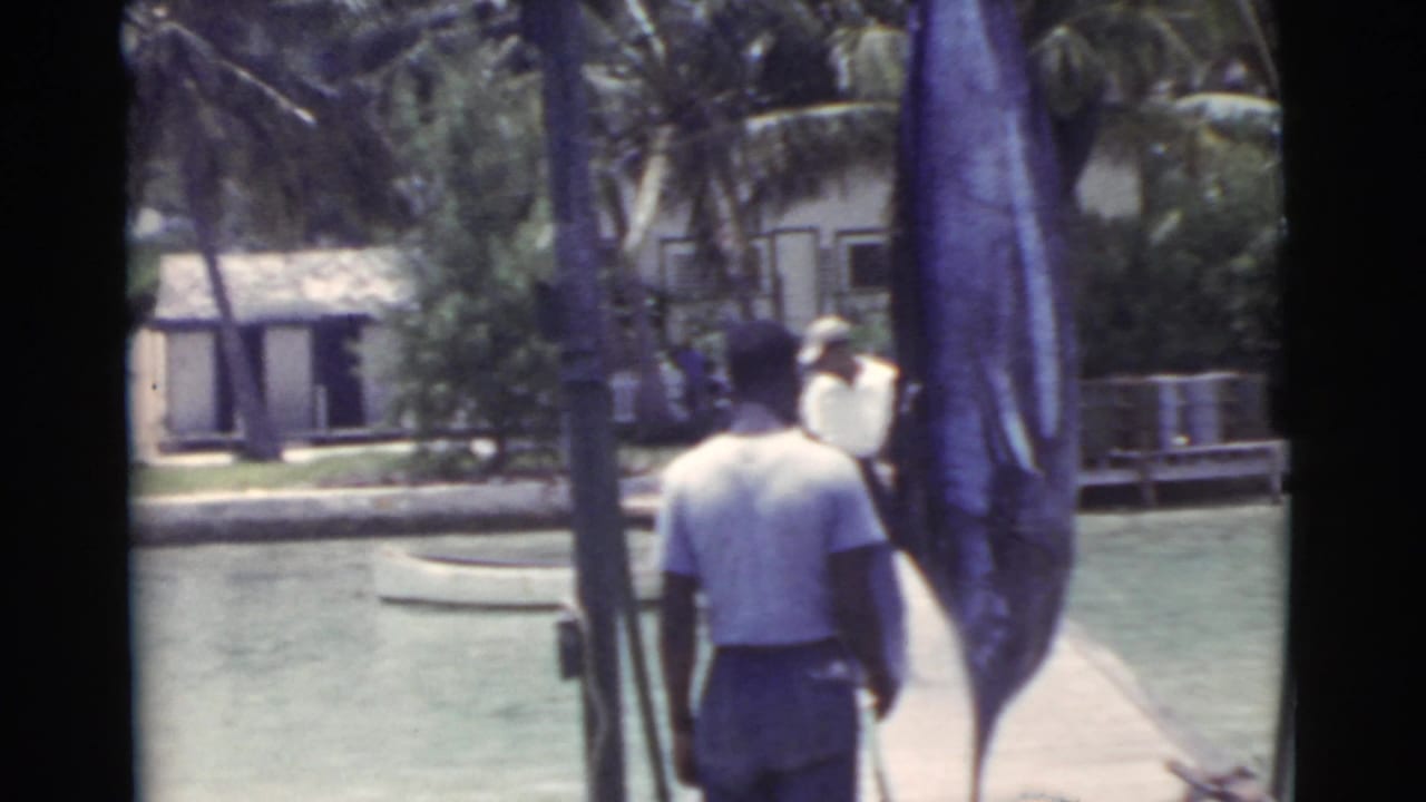 Man on a dockside walkway near a large hanging fish and waterfront buildings.
