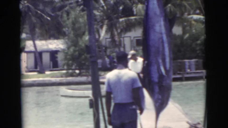 A man in a light shirt stands near a large marlin by a palm-lined Miami waterfront in 1956 home-movie footage.