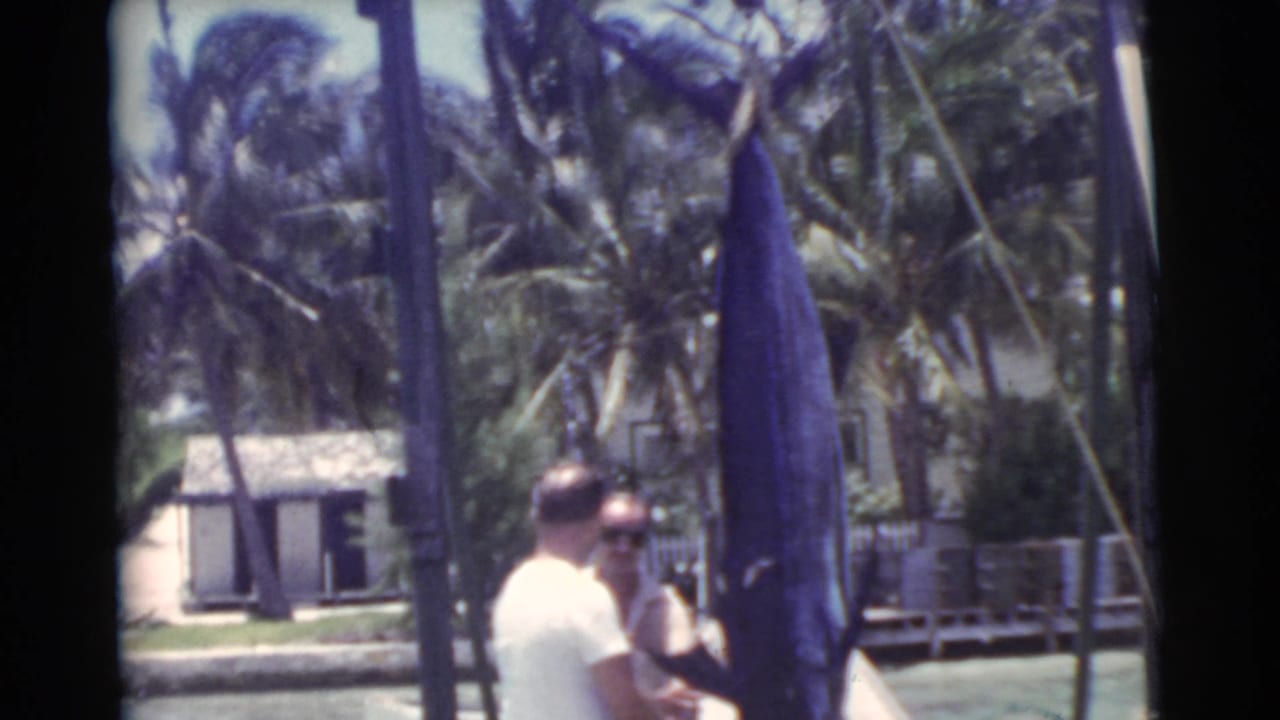 Two men stand near a hanging swordfish on a sunny pier with palms and water behind them.