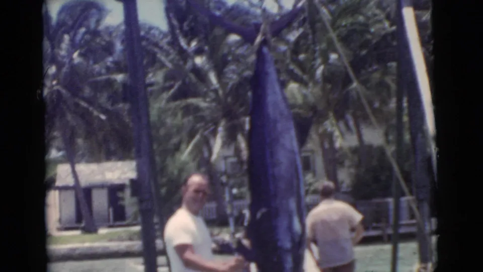 1956 Miami home-movie frame showing a large marlin suspended near a dock, with an adult man, palm trees, water, and small buildings in view.