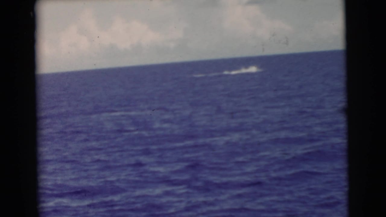 Open ocean with a distant white splash and wake near the horizon.