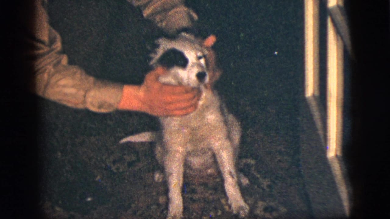 Child in a red jacket pets a seated white dog with dark facial markings indoors.