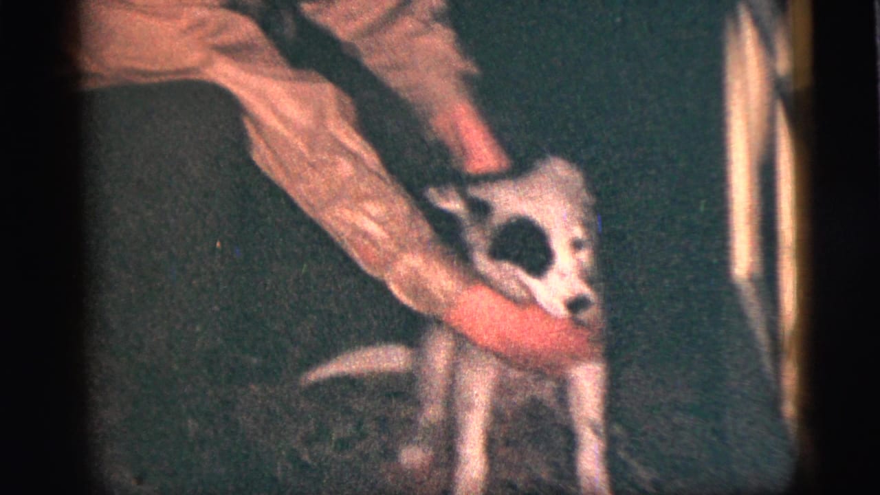 Child in a light jacket holds a small black-and-white puppy indoors.