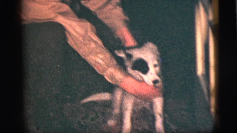 In supplied 1956 New York home-movie footage, a child gently holds a black-and-white puppy in a dim private room.