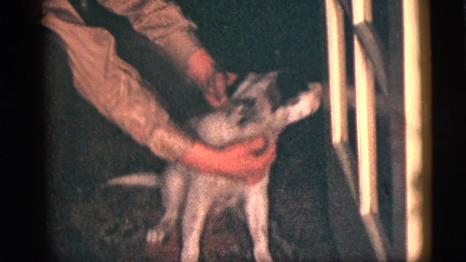 A child appears to pet or steady a small black-and-white puppy while an adult hand reaches in, in a dim 1950s home interior.