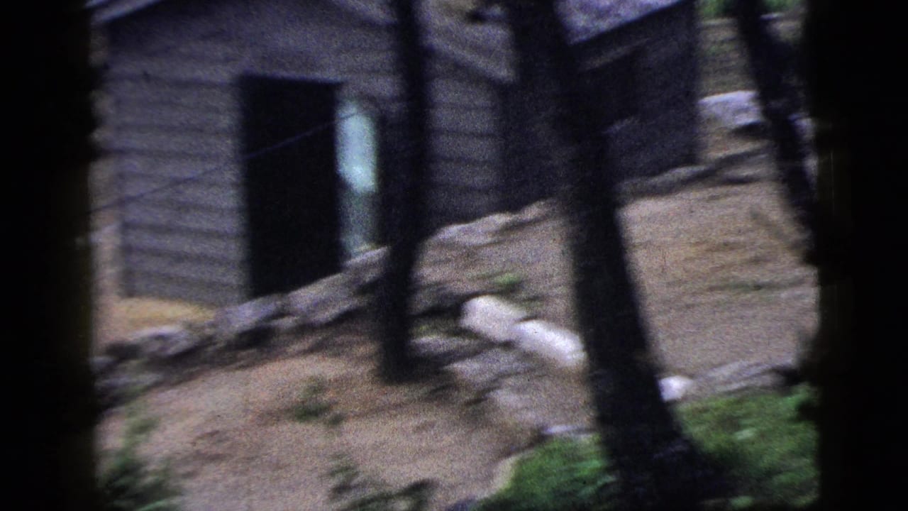 Handheld 1956 New York City frame showing a weathered wall, dark doorway, debris at ground level, and sparse greenery.