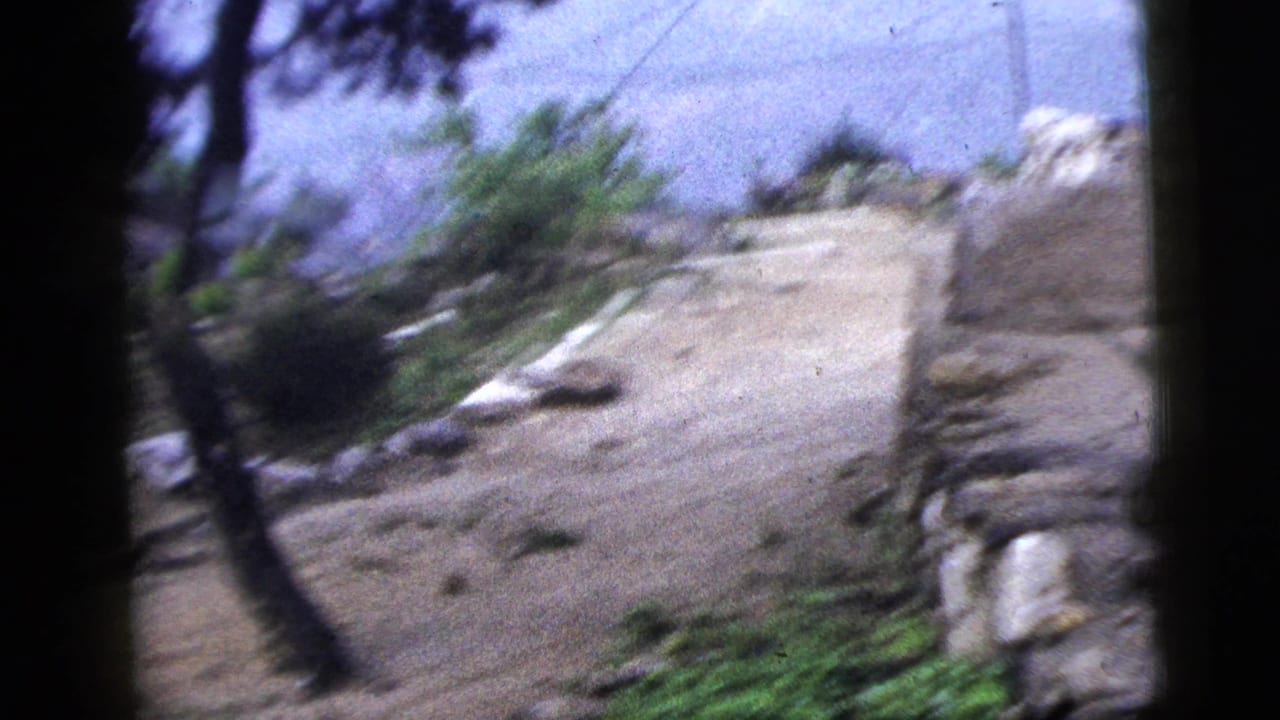 Rocky dirt path with trees, brush and dark film borders.