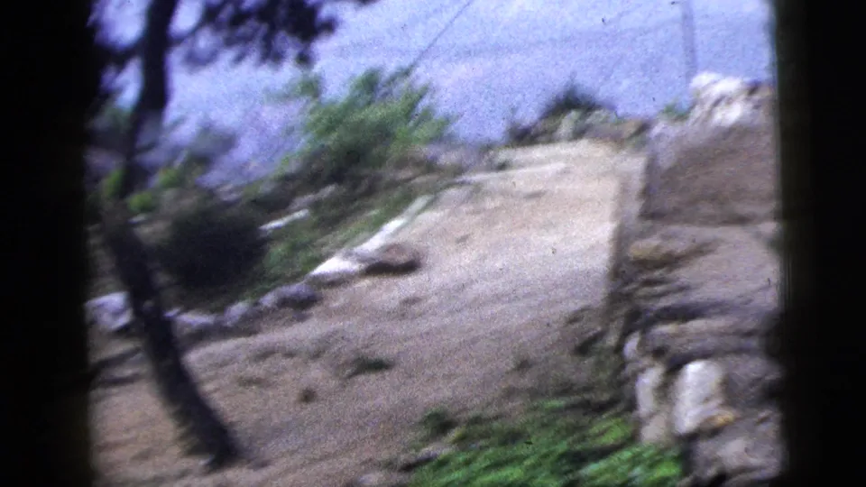 1956 New York City 8mm frame showing a rough dirt path, stones, trees and brush at the edge of a sparse compound.