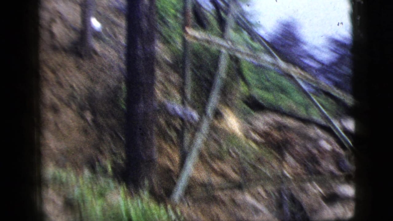 1956 8mm home-movie frame showing a blurred wooded dirt trail with tree trunks, brush, and sloped ground.