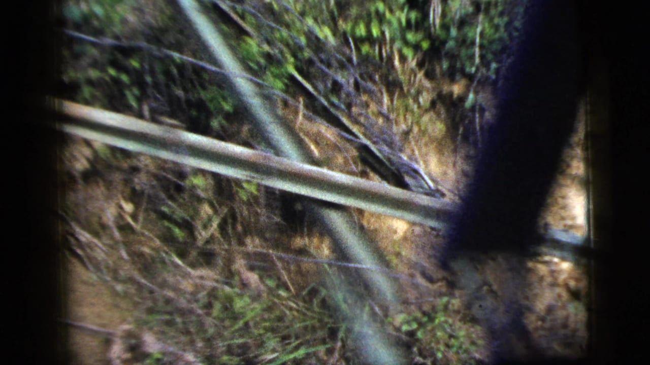 1956 8mm frame with a diagonal fence or rail crossing brush, exposed dirt, and vegetation on a sloped trail edge.