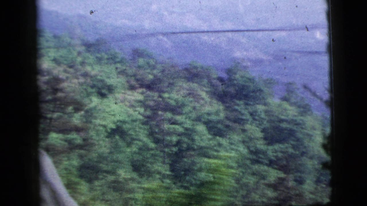 1956 8mm home-movie view of green foliage and a distant wooded hillside, softened by rapid handheld motion.