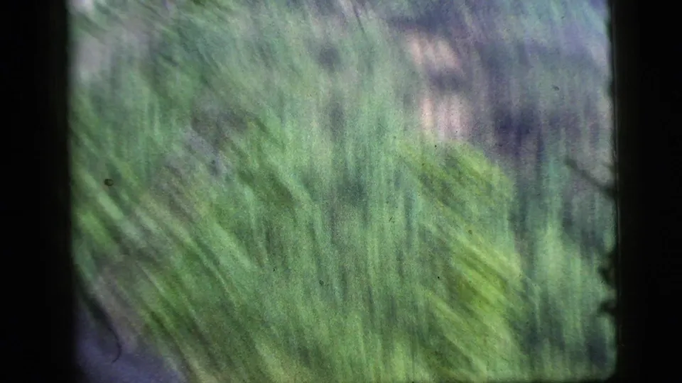 1956 8mm frame showing blurred green foliage through a dark vehicle window, with no people or signs visible.