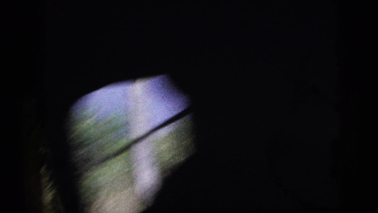 Obscured vehicle-window view with blurred greenery and a diagonal bar.