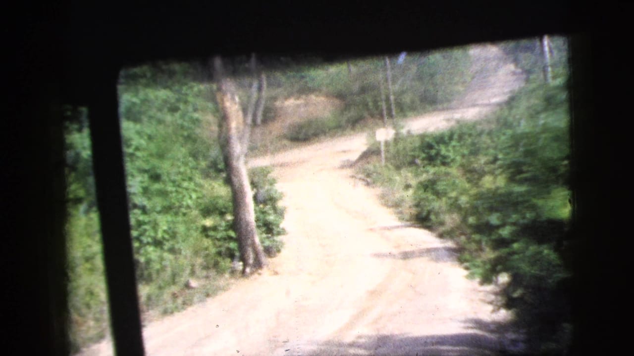 1956 8mm vehicle-window view of a pale dirt road curving through trees and dense green roadside growth.