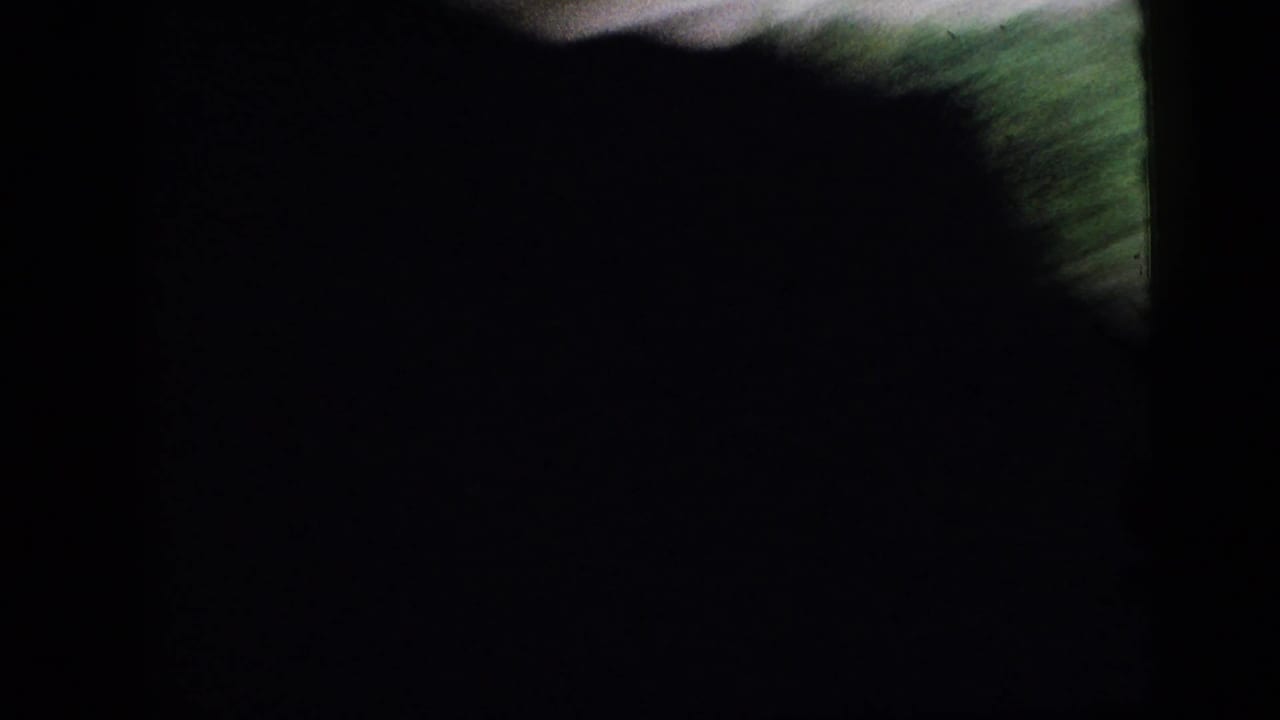 Dark vehicle-window frame with blurred green trees outside.
